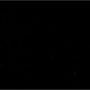 Meet your Posher, Rui